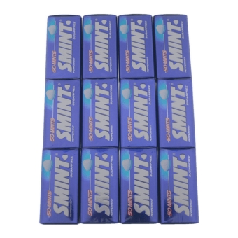 Smint | XL Tin Peppermint | 12 stuks