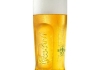 Grolsch | Master glazen | 20 cl | Per stuk