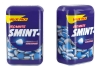 Smint | XL Peppermint | Bottle | 10 stuks