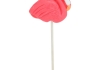 Flamingo | Lolly | 24 x 45 gram