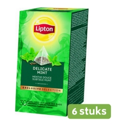 Lipton Tea | Excl. Selection | Delicate Mint | 6 x 25 zakjes