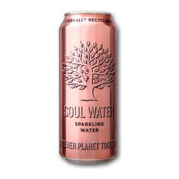 Soul Water | Sparkling | Blik | 24 x 330 ml