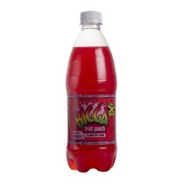 Bigga | Fruit Punch | Pet | 12 x 600 ml