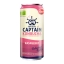 The Gutsy Captain | Kombucha Raspberry | Bio | 12 x 250 ml